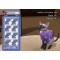 Sims 2: Pets  (PS2)