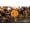 Plants vs. Zombies Garden Warfare (PS4)