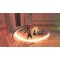 Prince of Persia: Rival Swords (PSP)