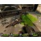 Left 4 Dead 2 (Xbox 360) Русская версия