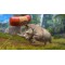 Zoo Tycoon (Xbox 360) Русская версия